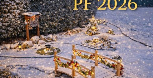 PF 2026