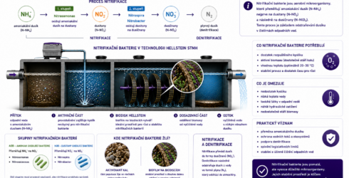 Nitrifikacni bakterie - klicove mikroorganismy pro biologicke odstranovani dusiku