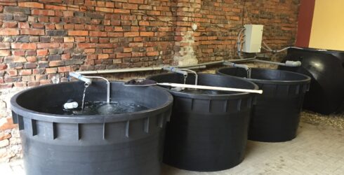 realizace čističky chovné vody pro ryby STMHR500